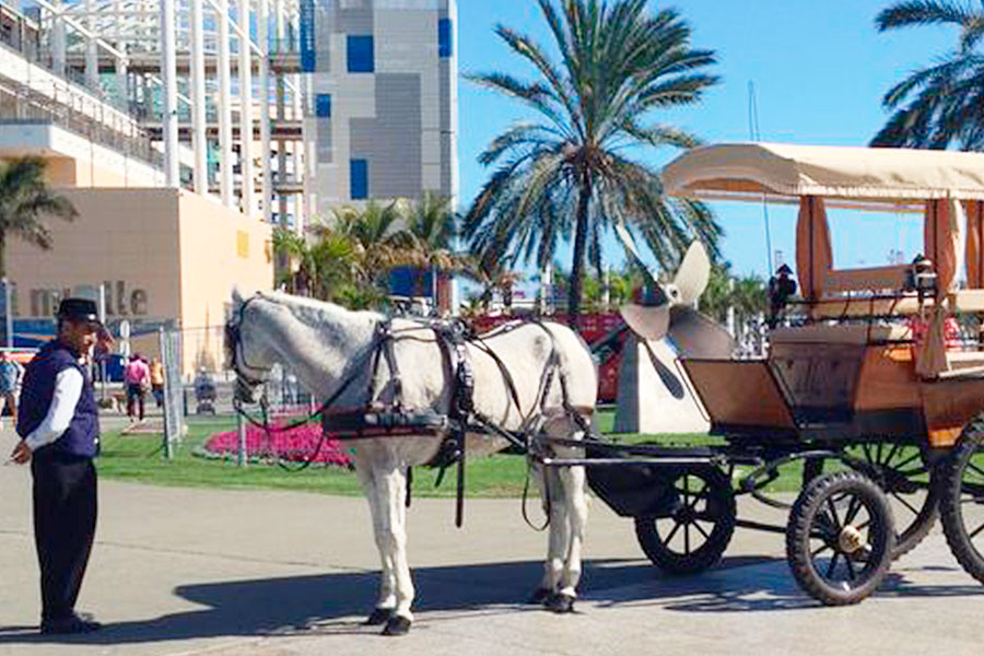 Alquiler de coche de caballos - Guía turística Conocer ...